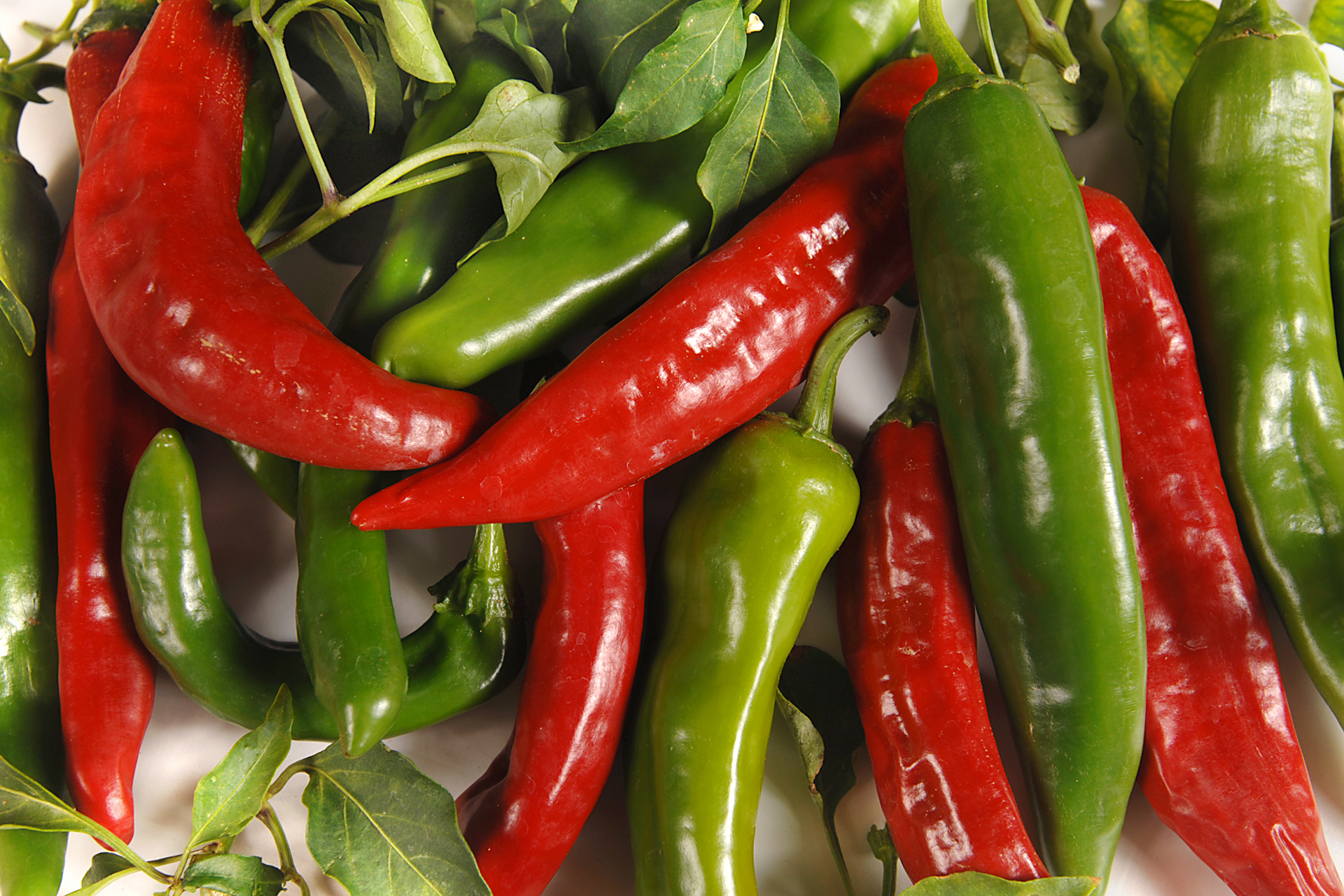 red/green chiles by Darren Phillips