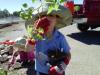 Image of Junior Master Gardeners