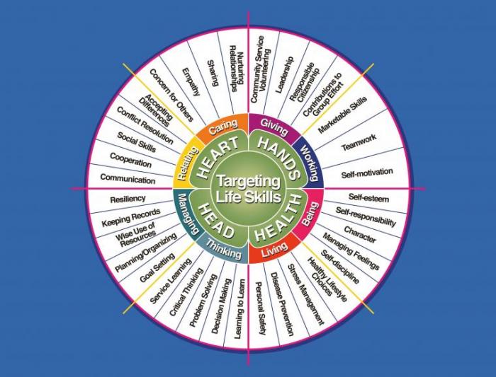 Image of life skills wheel